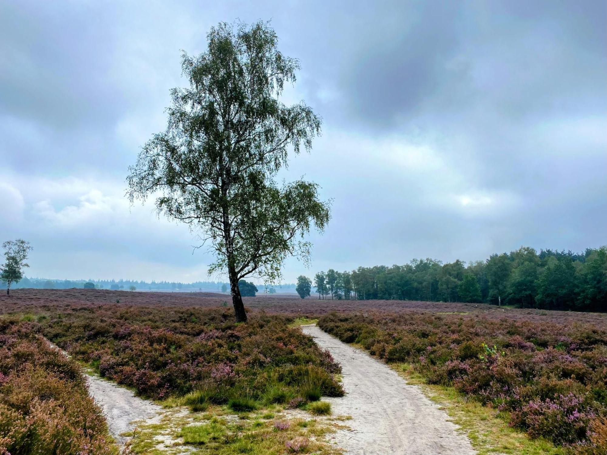 Huisje Aan De Bosrand - Veluwe Эпе Экстерьер фото