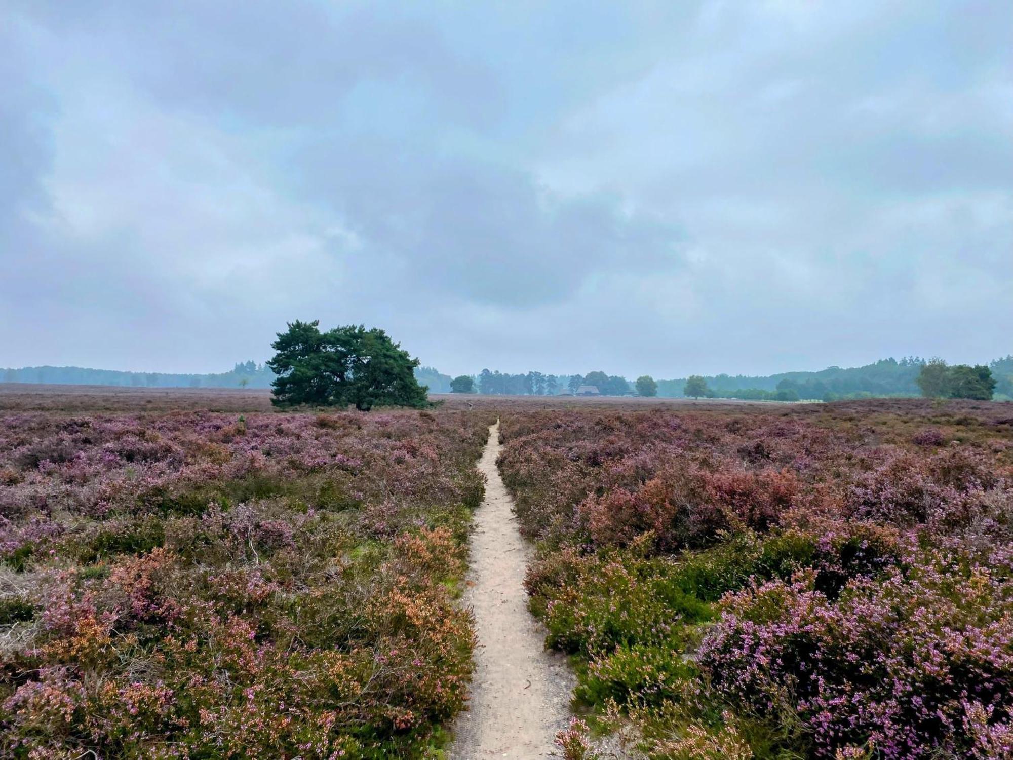 Huisje Aan De Bosrand - Veluwe Эпе Экстерьер фото